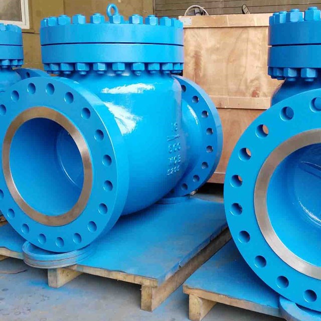 Swing  check  valve