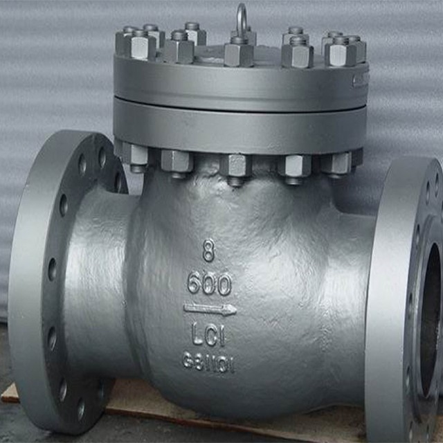 High Pressure Power Plant Check Valve