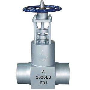 Power Station Globe Valve