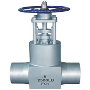 Power Station Gate Valve